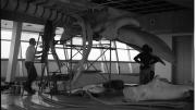 Three people stand around the bones of a giant whale.